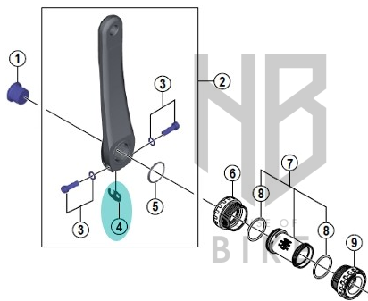 Shimano Sol Ayna Kolu Güvenlik Plakası