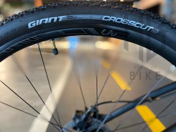 Liv Rove 2 SS Disc Siyah S
