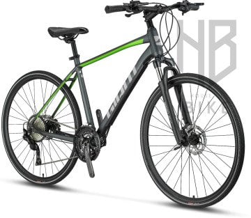 GIANT ROAM 2 DISC TURKEY LTD L - Kırmızı