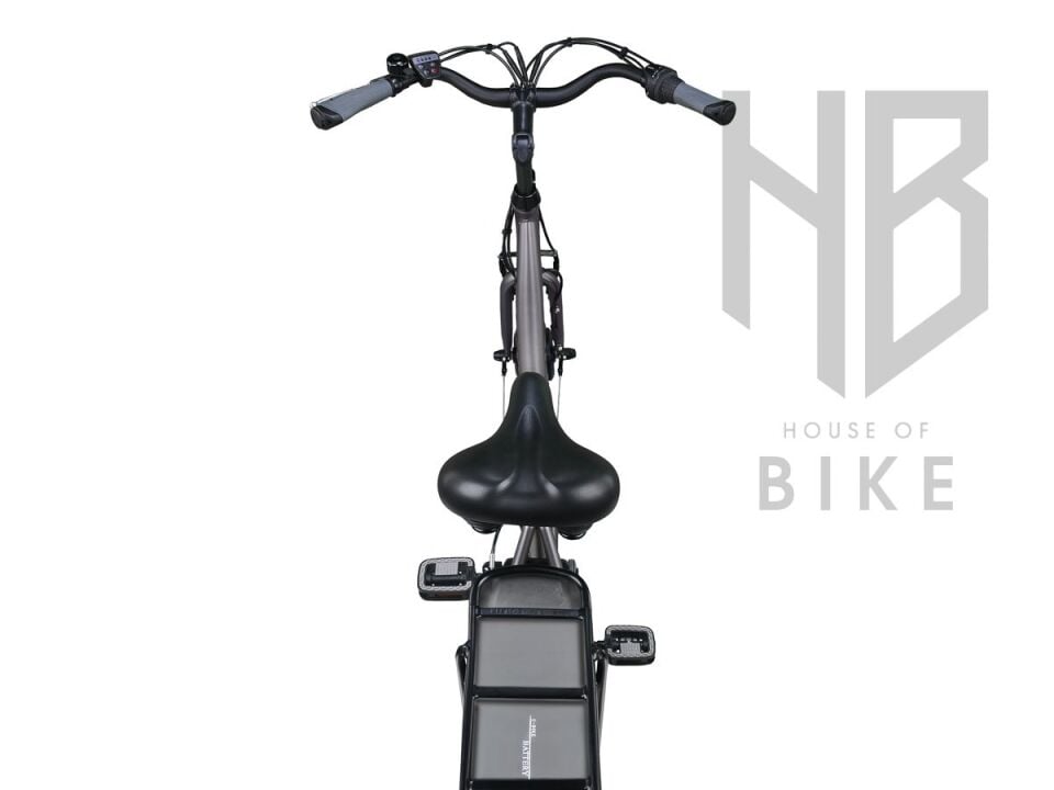 Altec Sapphire E-Bike 53cm Nexus 3V Siyah