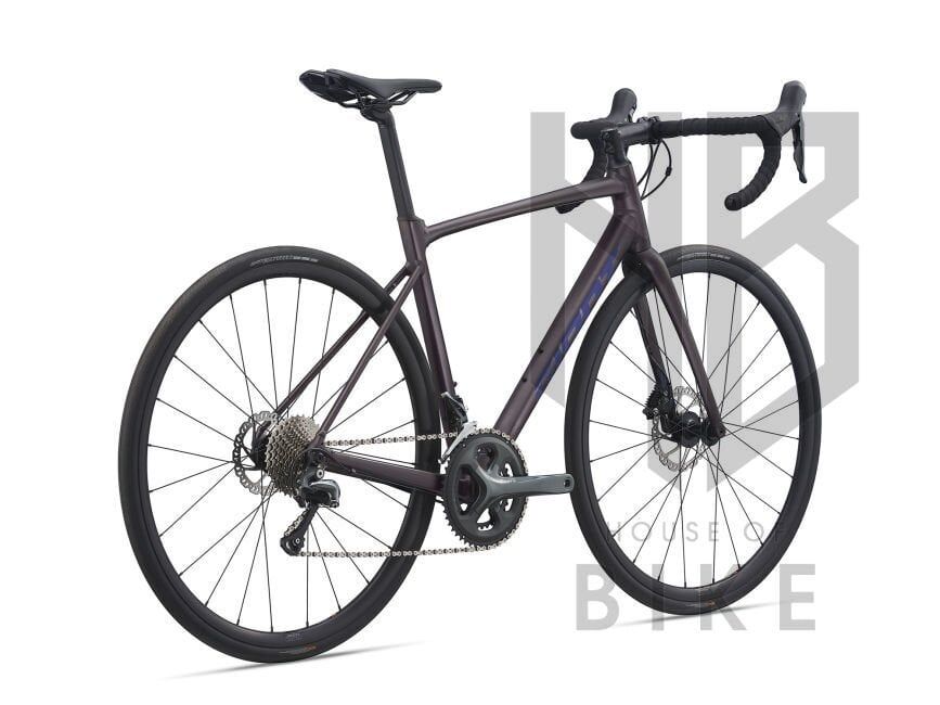 GIANT CONTEND SL 2 DISC ROSEWOO XL
