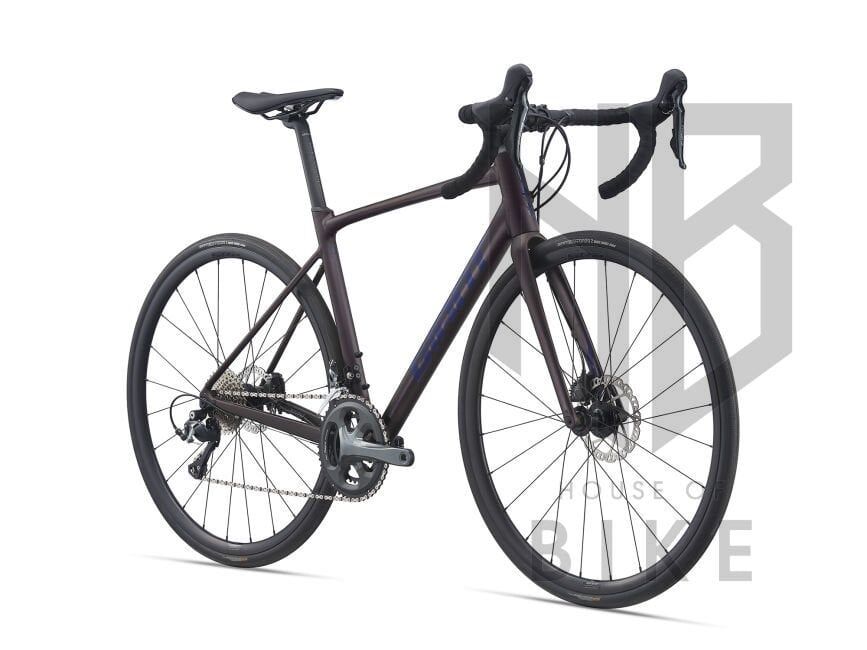 GIANT CONTEND SL 2 DISC ROSEWOO XL