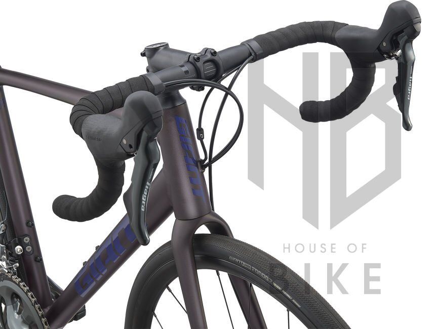 GIANT CONTEND SL 2 DISC ROSEWOO XL
