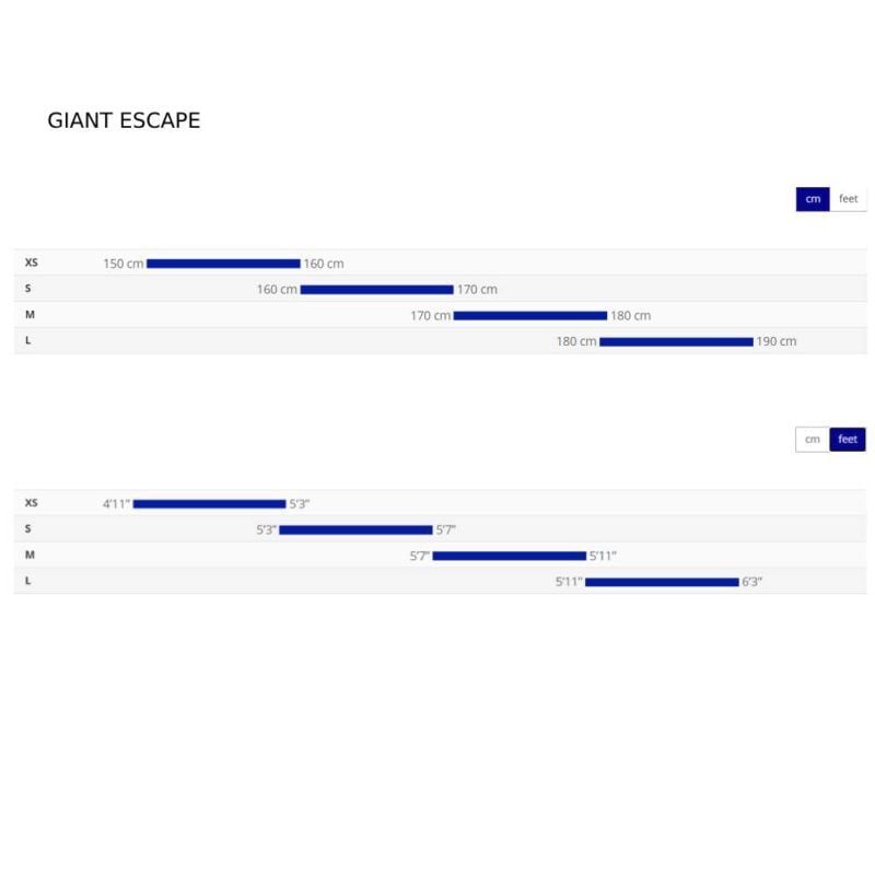 Giant Escape 1 Disc | Charcoal | XL |