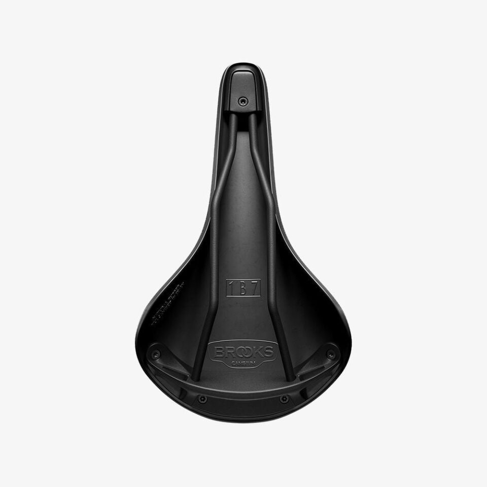 Brooks Cambium C17 Sele