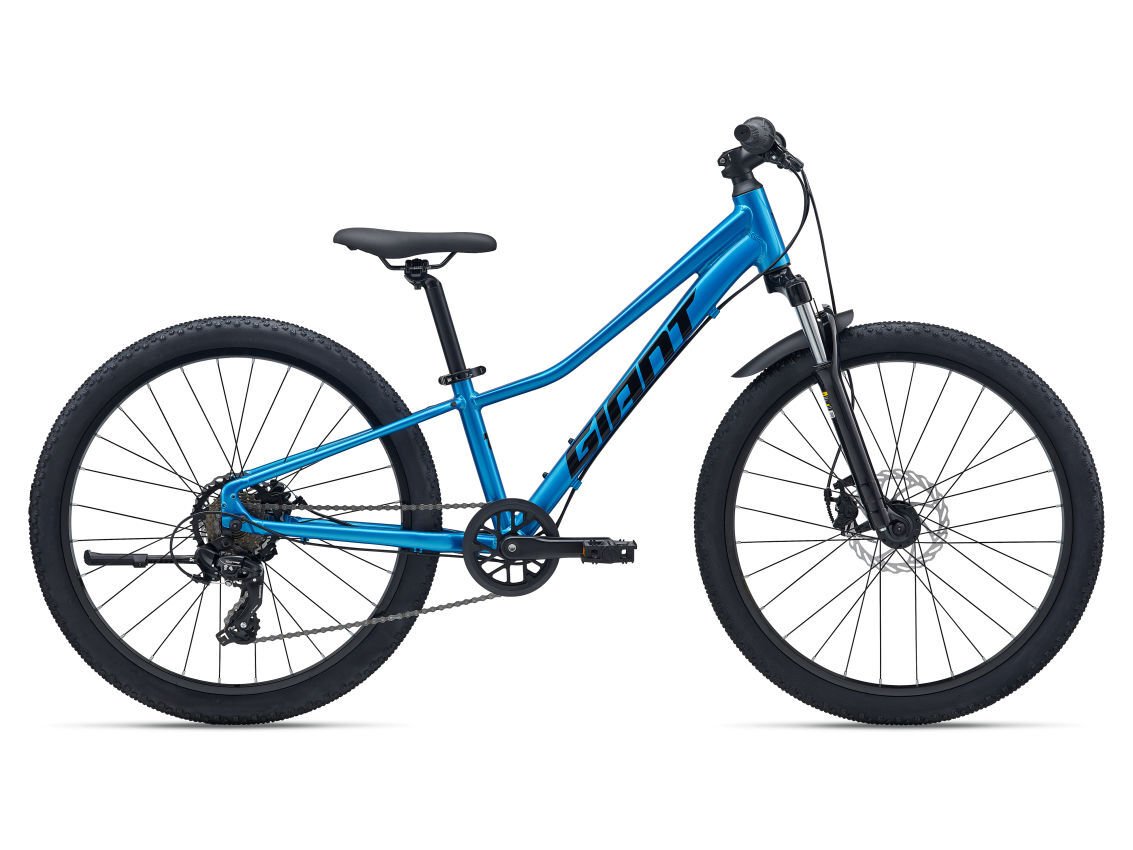 Giant Talon 24 Disc | One Size | Metalic Blue