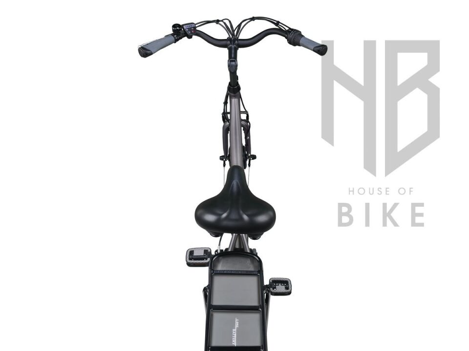 Altec Sapphire E-Bike 53cm Nexus 3V